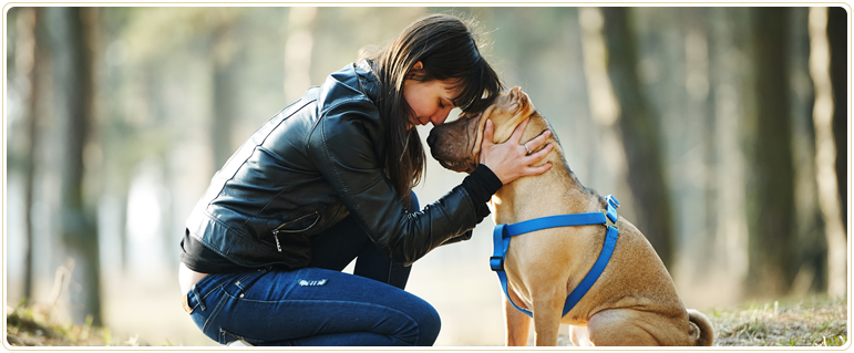 Edmonton Pet Memorial Services, dog and cat